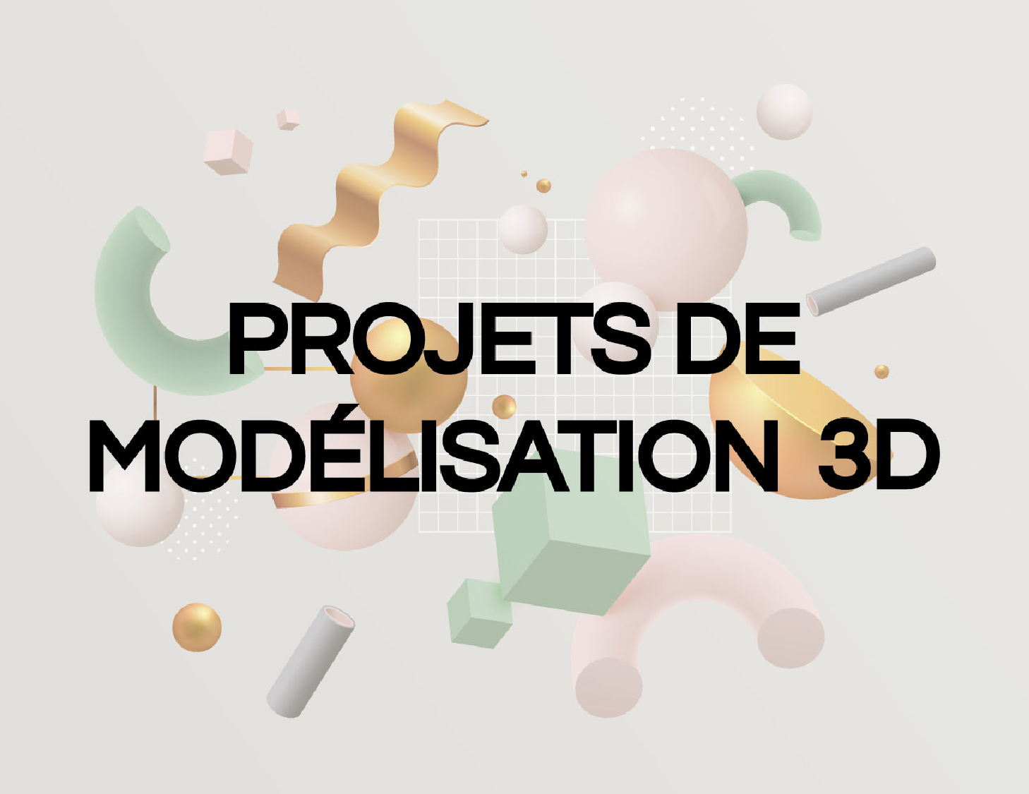 Modélisations 3D