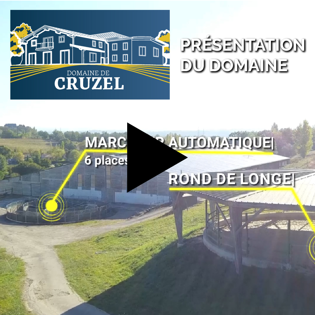 CRUZEL - teaser domaine